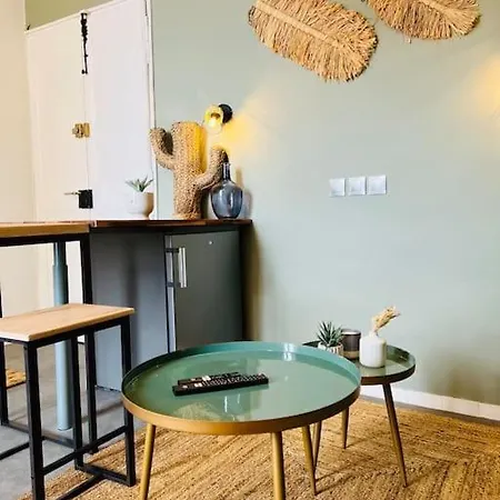 Apartment Studio ~ Centre Ville .